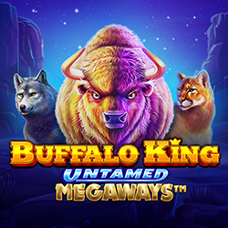 buffalo king untamed megaways